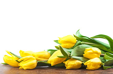 Image showing Yellow tulips 
