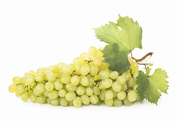 Image showing grapes bunch