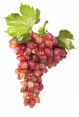 Image showing grapes bunch