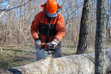 Image showing Lumberjack with a chainsaw