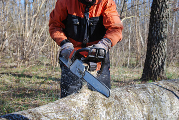 Image showing Chainsaw in action