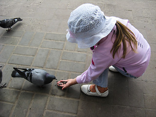 Image showing The girl feeding the pigeons