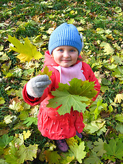 Image showing The little girl with yellow leaf in autumn
