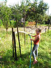 Image showing The girl watering a kitchen garden