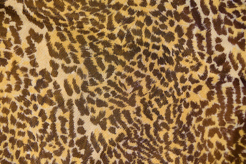 Image showing Part of the surface the nylon scarf with animal pattern. macro