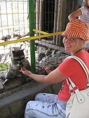 Image showing The girl feeding a raccoon in a zoo