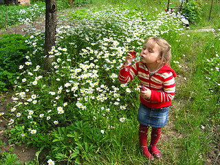 Image showing little beautiful girl swelling soap bubbles