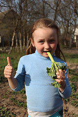 Image showing little girl chewing young sprout of a rhubard