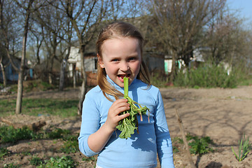 Image showing little girl chewing young sprout of a rhubard