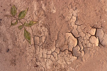 Image showing Dry soil closeup before rain