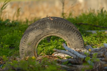 Image showing Truck tyre in the mud