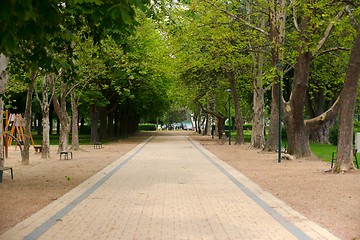 Image showing Small Pathway going trough the park