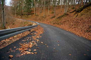 Image showing Road in autumn forest landscape