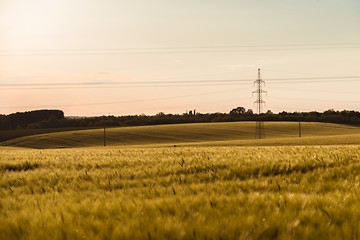 Image showing Cultivated land closeup