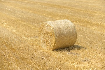 Image showing Hay bails on the field