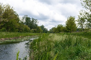 Image showing Small river with green grass