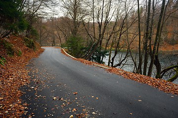 Image showing Road in autumn forest landscape