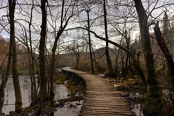 Image showing Wooden path trough the lakes