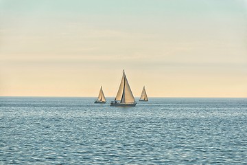 Image showing Sail of a sailing boat