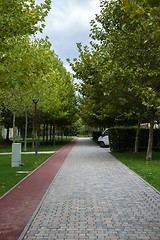 Image showing Walking path in the park