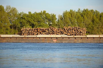 Image showing Wooden logs transported on boat