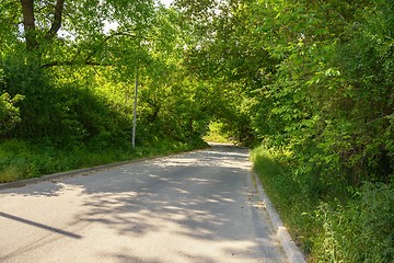 Image showing Small Pathway going trough the forest