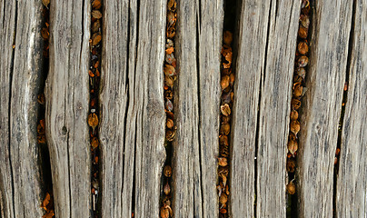 Image showing Closeup photo of wooden floor panels