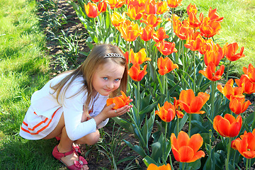 Image showing little girl smells tulips on the flower-bed