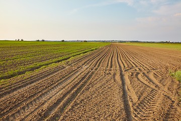 Image showing Agriculture