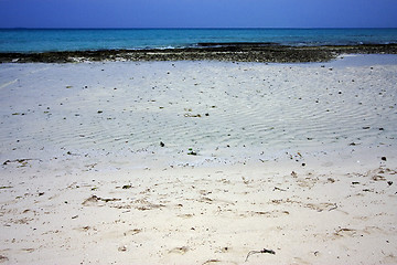 Image showing beach and sand in sand bank  tanzania 