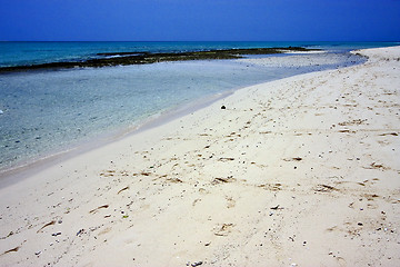 Image showing beach and sand in sand bank  tanzania zanzibar