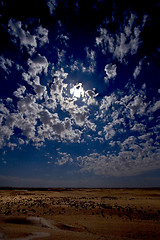 Image showing dune in the sahara