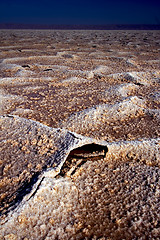 Image showing chott el jerid,salt lake