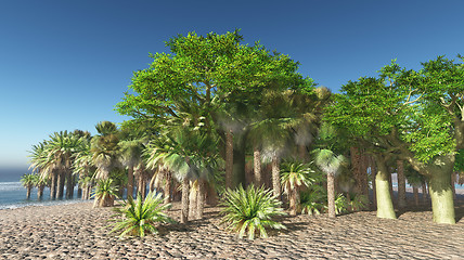 Image showing Lush oasis landscape on desert