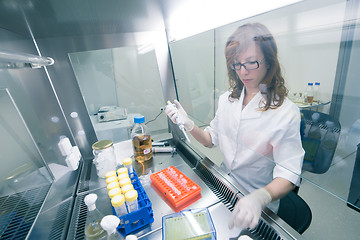 Image showing Life scientist researching in the laboratory.