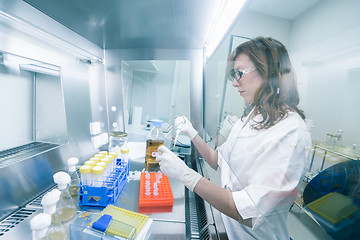 Image showing Life scientist researching in the laboratory.