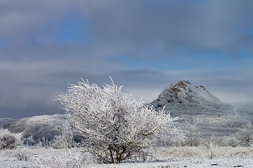 Image showing Winter Landscape