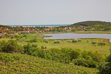 Image showing Landscape