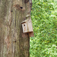 Image showing Nesting Box on a tree