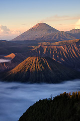 Image showing Bromo volvano in Indonesia