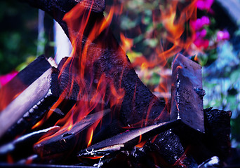 Image showing dry firewood burns at the stake