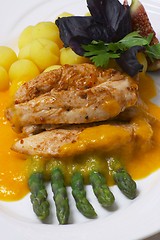 Image showing Chicken with sauce