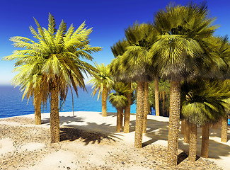 Image showing Lush oasis landscape on desert