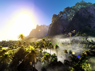 Image showing Beautiful palm trees