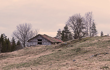 Image showing Old barn on a field