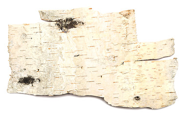 Image showing birch bark