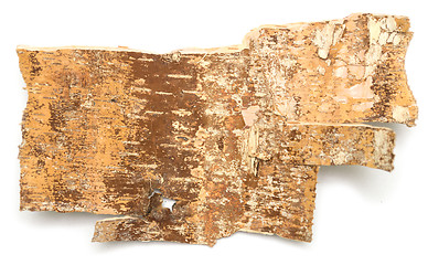 Image showing birch bark