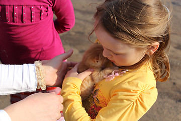 Image showing little girl with little red kitten