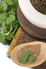 Image showing Coriander 