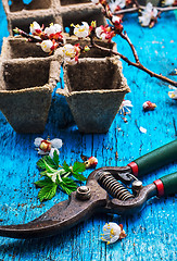 Image showing garden tools 